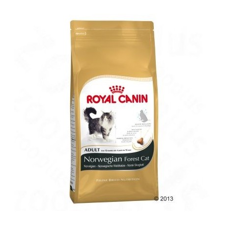 Royal Canin Noorse Boskat Kattenvoer