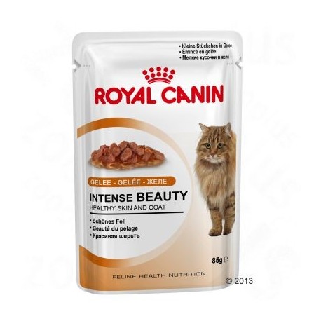 Royal Canin Intense Beauty in Gelei Kattenvoer