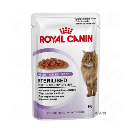 Royal Canin Sterilised in Gelei Kattenvoer 24 x 85 g