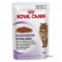 Royal Canin Sterilised in Gelei Kattenvoer 24 x 85 g