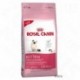 Royal Canin Kitten Kattenvoer