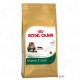 Royal Canin Maine Coon Adult Kattenvoer